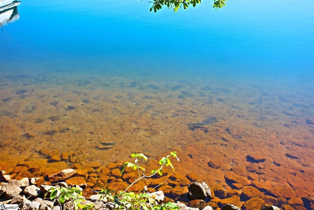Picture 30