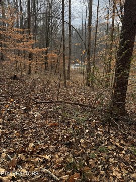 Unrestricted Land in Maryville, TN