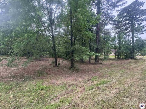 Wooded Homesite Land in Texarkana