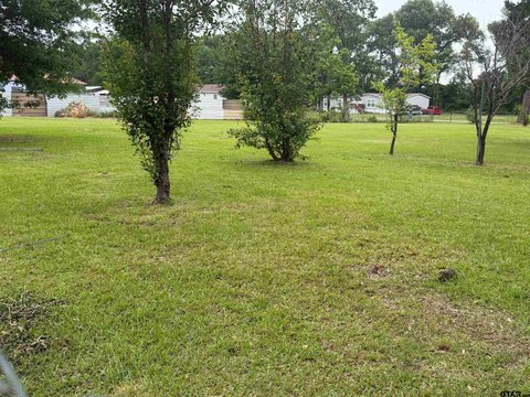 LAND - Frankston, TX
