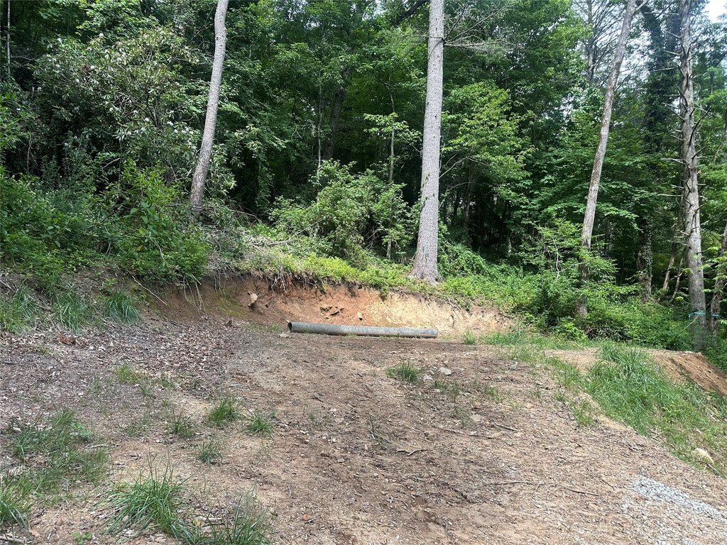 Picture 4