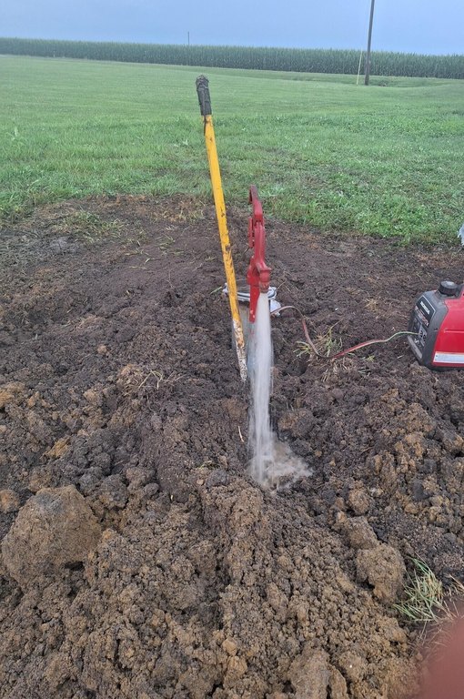 Picture 9