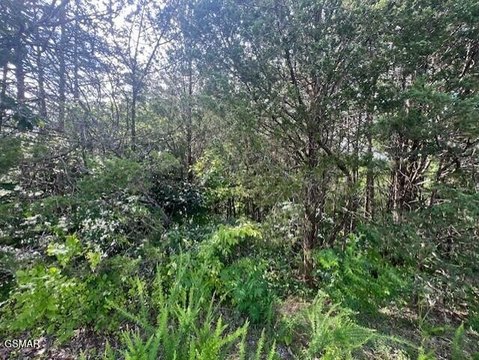 Lakeside Lot in Sevierville, TN