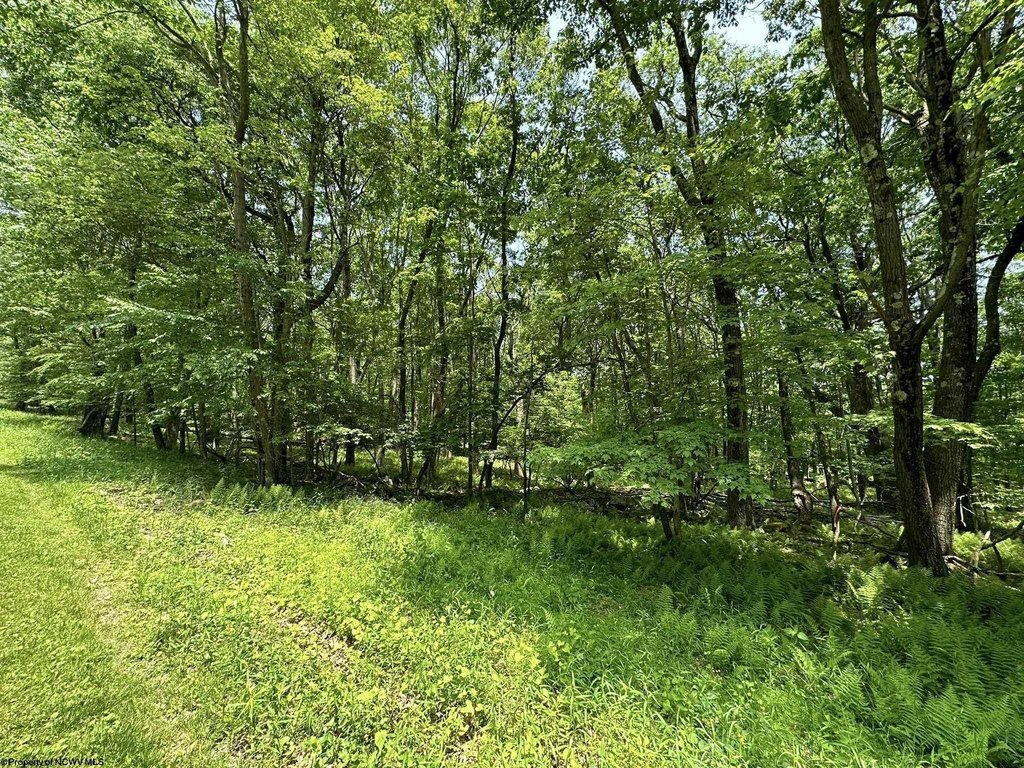 Picture 6