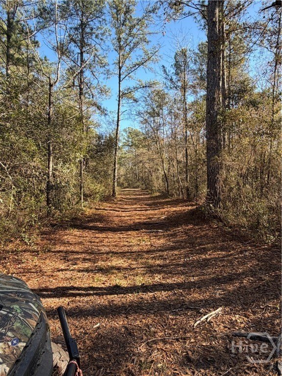 25.6 Acres in Guyton, GA