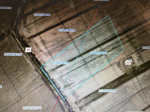 Commercial Land in Franklin, LA