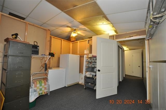 Picture 12