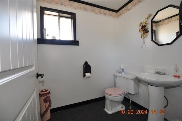 Picture 8