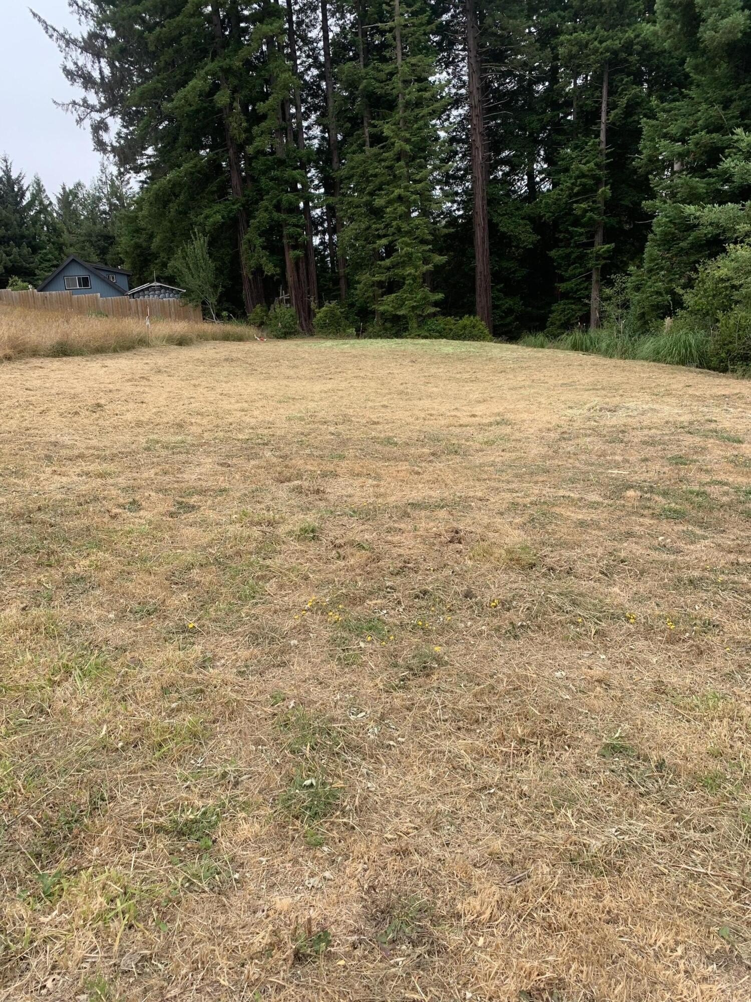Buildable Land in Cutten Subdivision