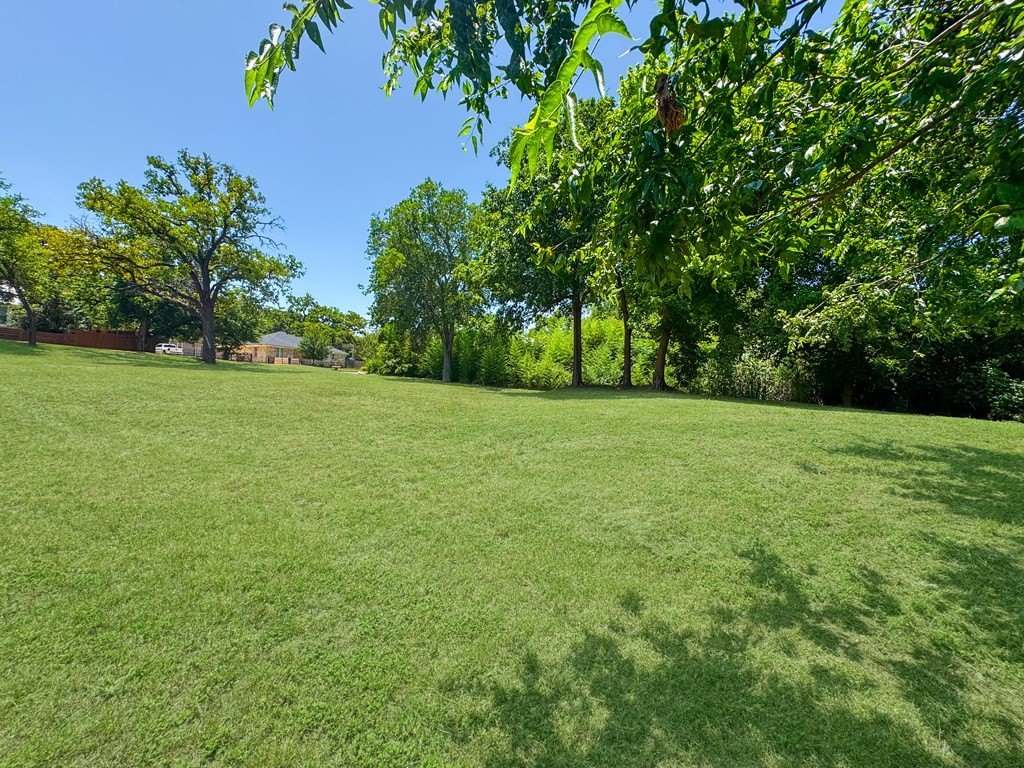 Picture 8