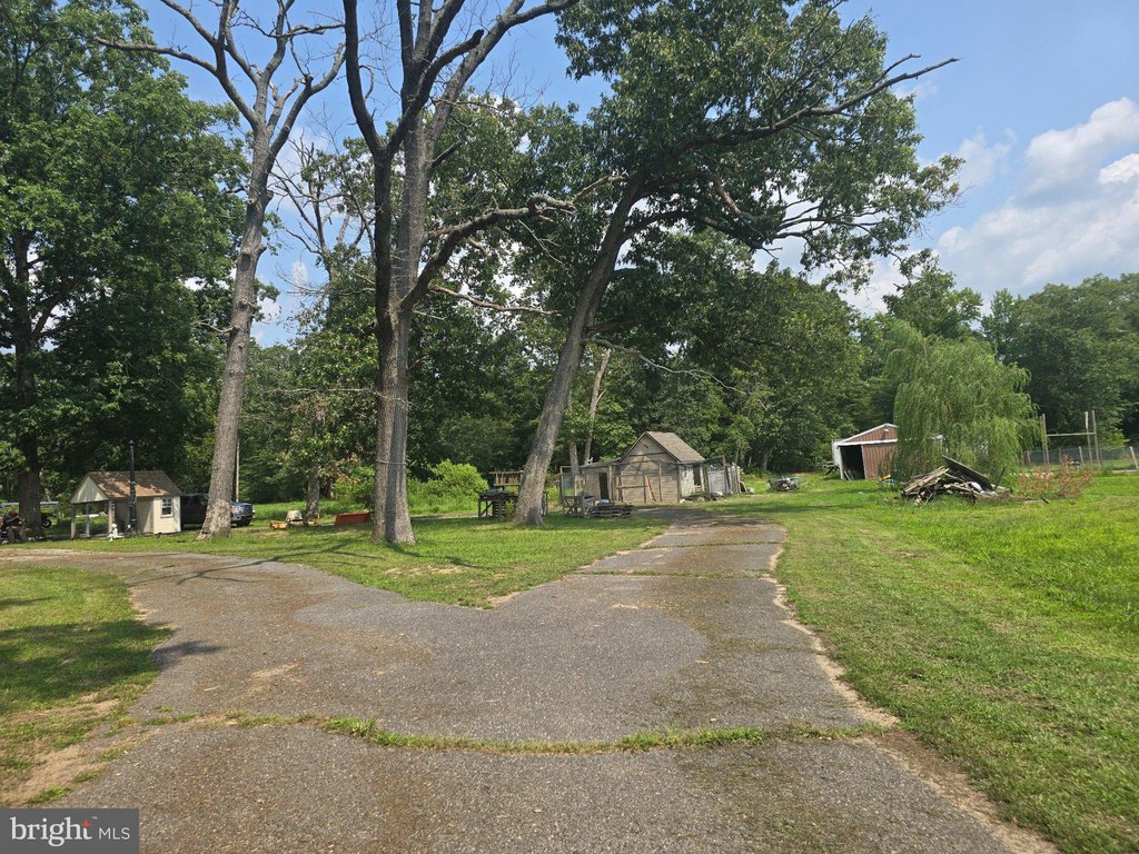 Picture 9