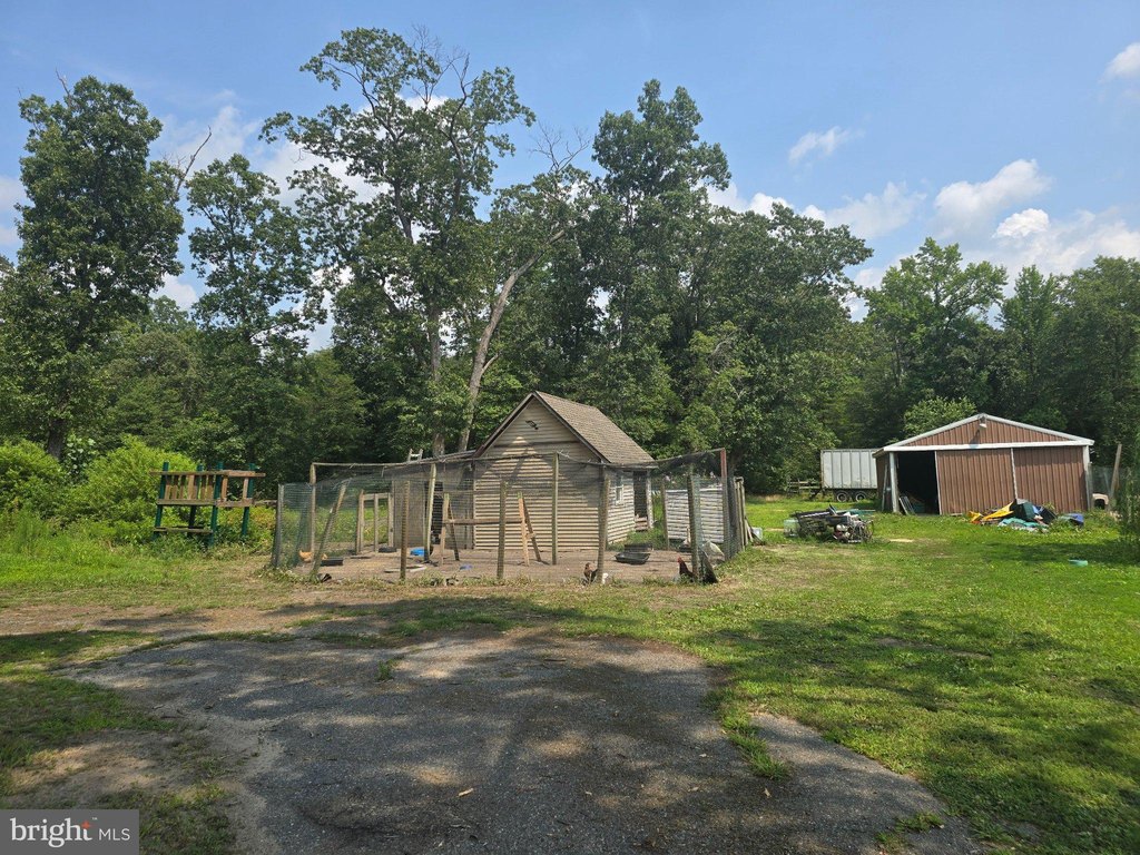 Picture 10