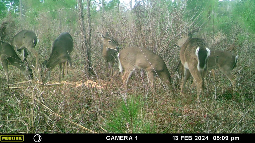 Picture 3