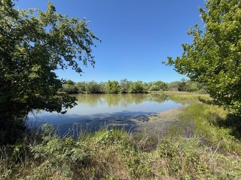 Secluded Hunting Land Near Breckenridge
