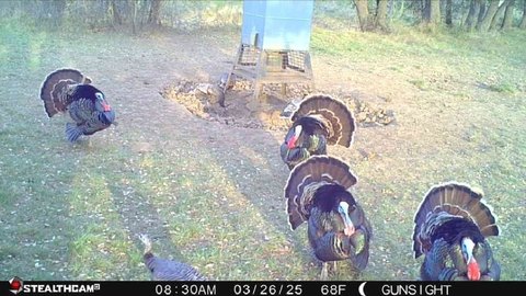 Secluded Hunting Land Near Breckenridge