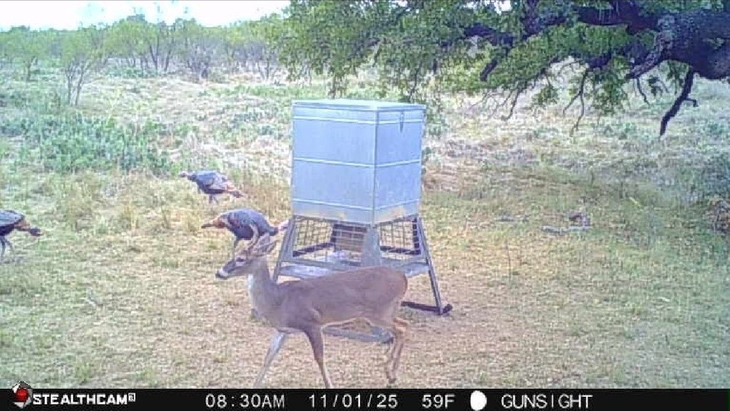 Picture 2