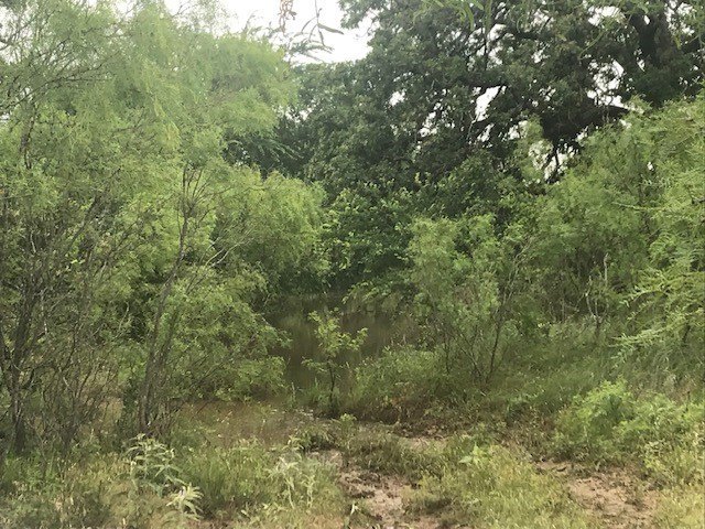 Picture 17