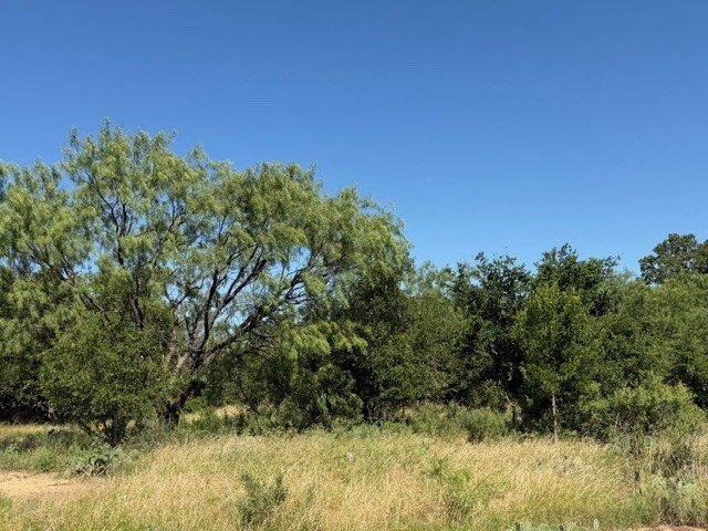Picture 39
