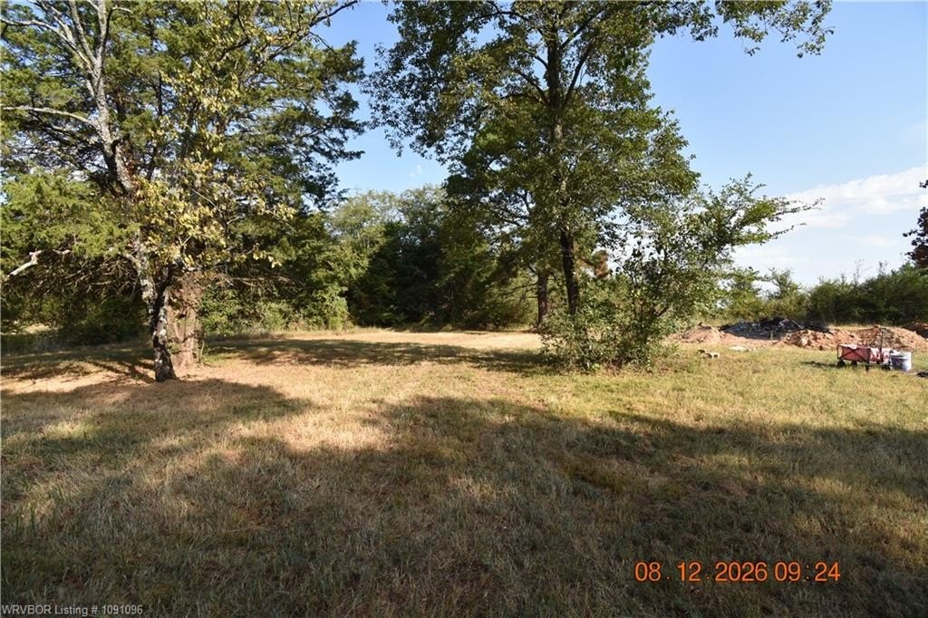 Picture 7