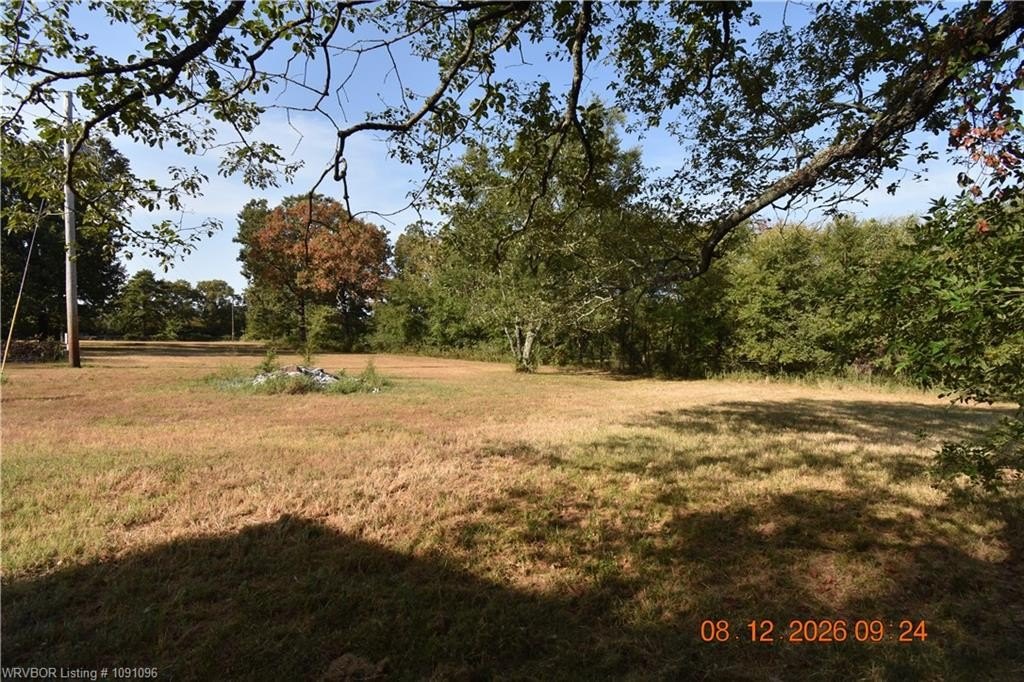 Picture 8