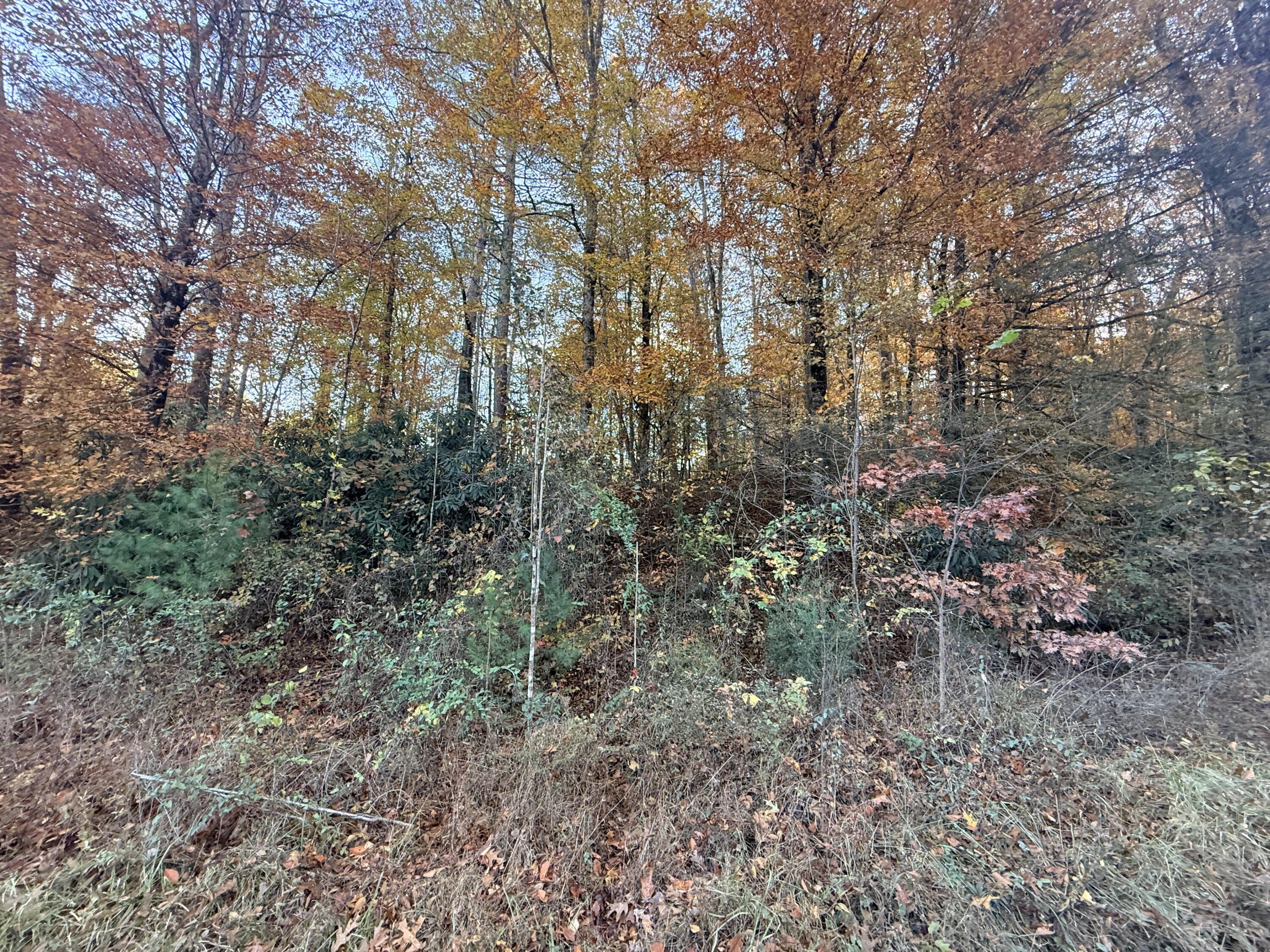Newport Land Near Smoky Mountains