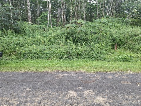 Land, Pahoa, HI