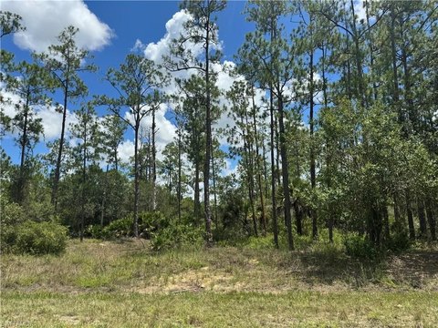Land, LEHIGH ACRES, FL