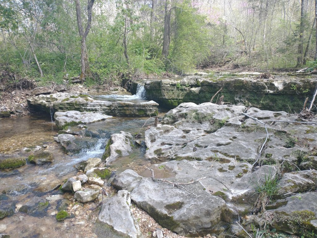 Picture 20