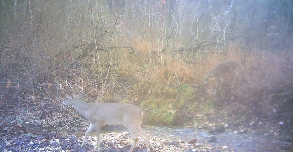 Picture 30
