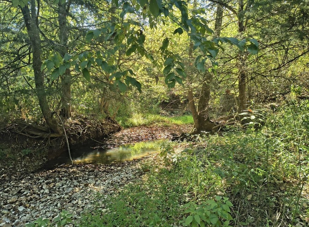 Picture 24