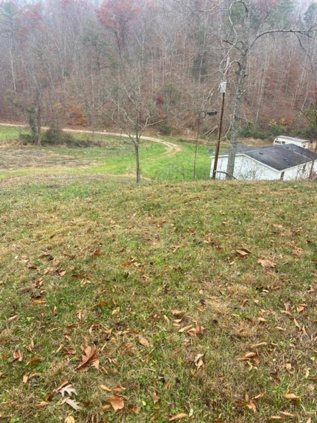 75 Acres of Kentucky Hunting Land