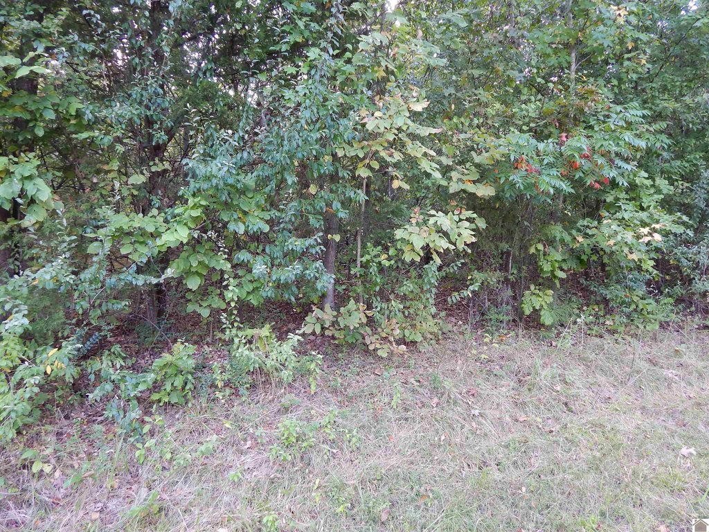 Picture 2