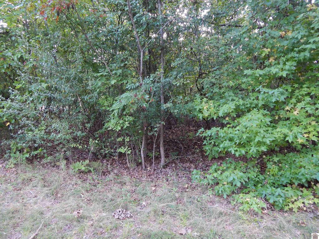 Picture 4