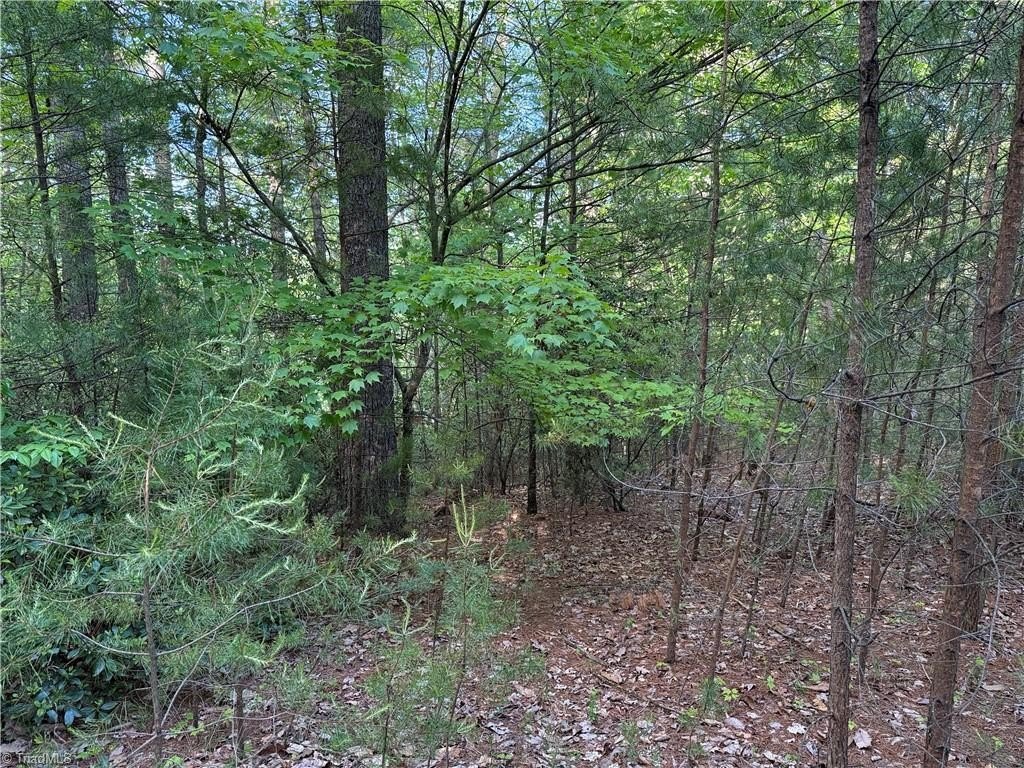 Picture 15
