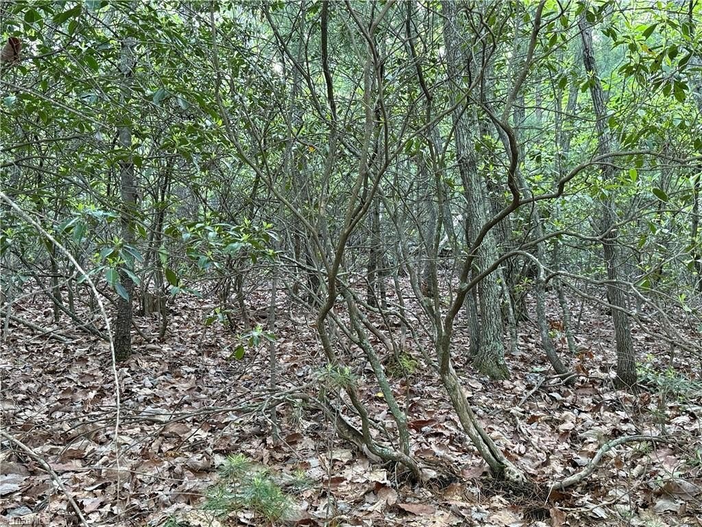 Picture 13