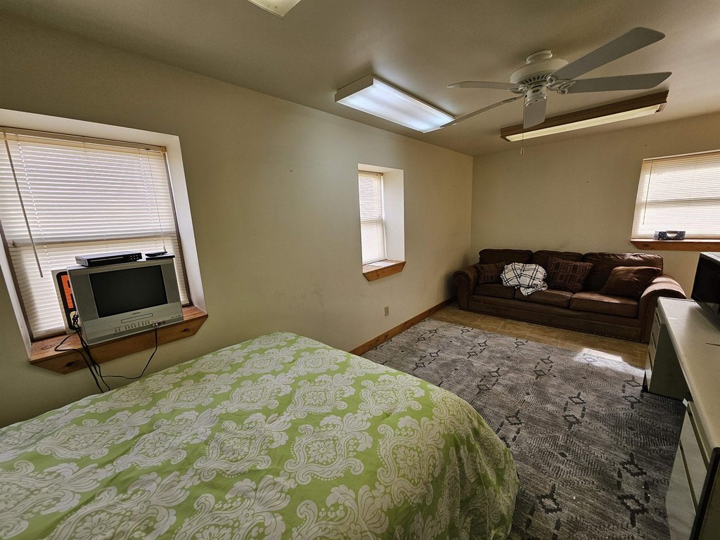 Picture 8
