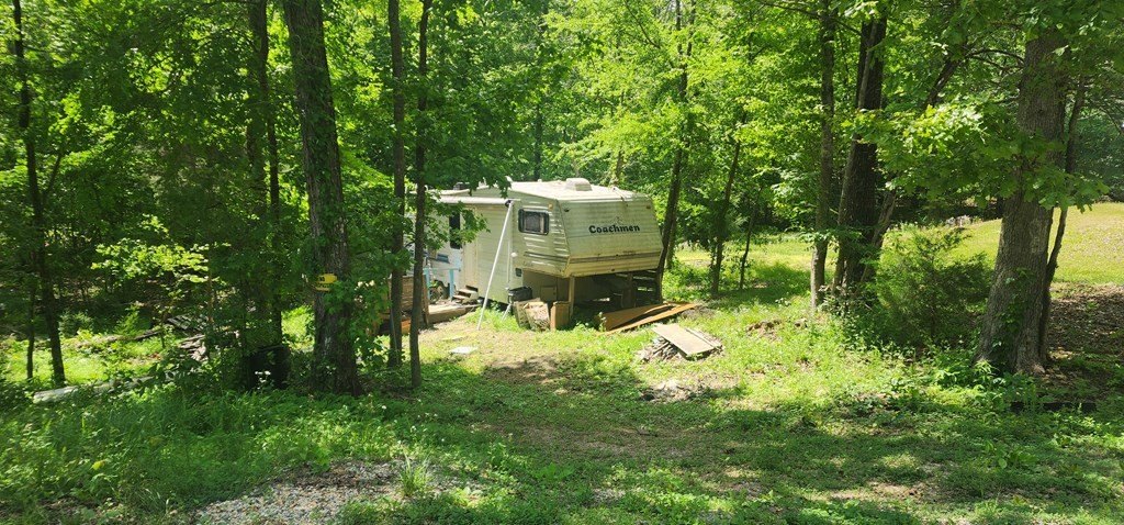 Picture 3