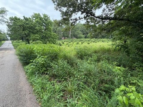 LAND - Thayer, MO