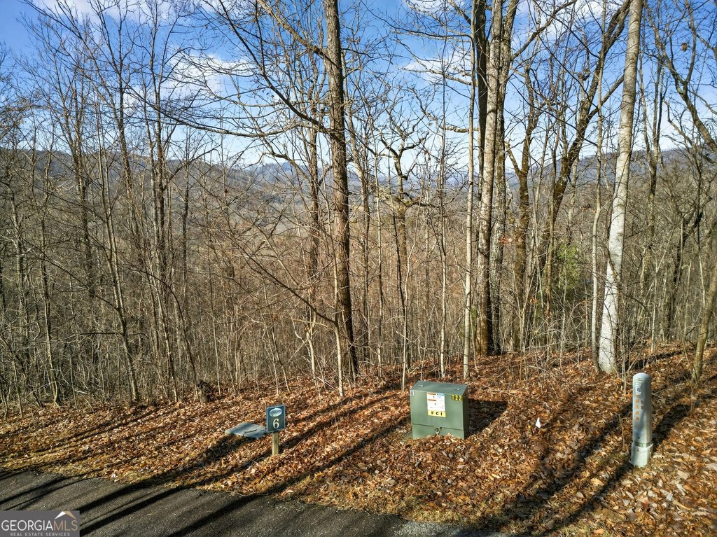 Picture 9