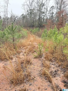 LAND/LOTS, CLANTON, AL