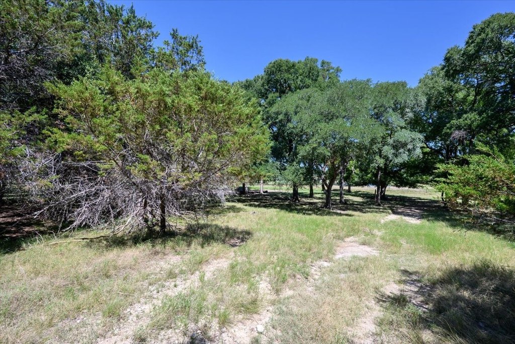 Picture 23