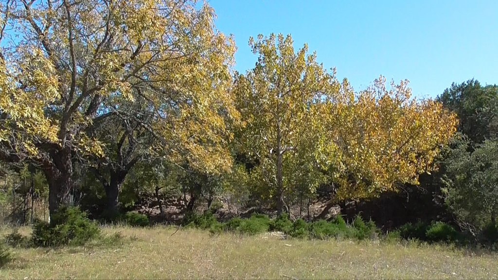 Picture 21