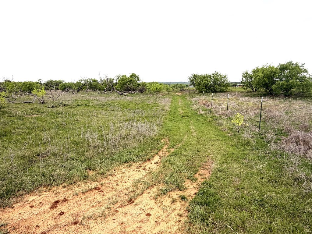 Picture 11