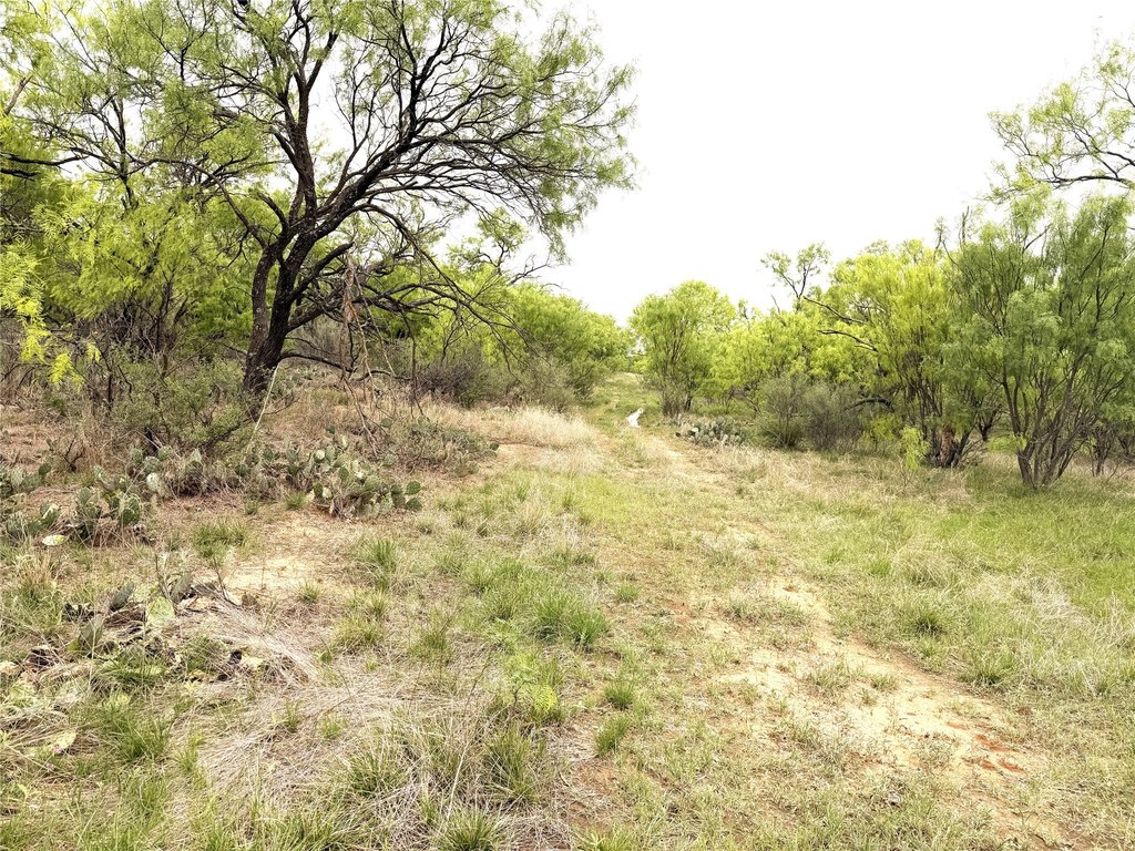 Picture 9