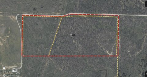 Heavily Wooded Hunting Tract