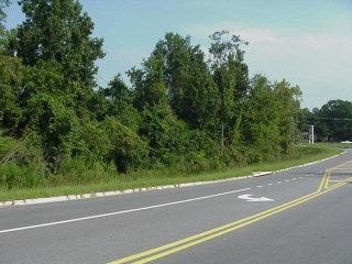 Prime Commercial Land Opportunity