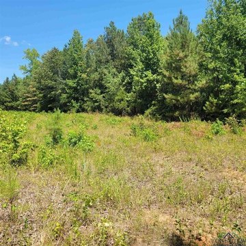 Harleton Land For Sale