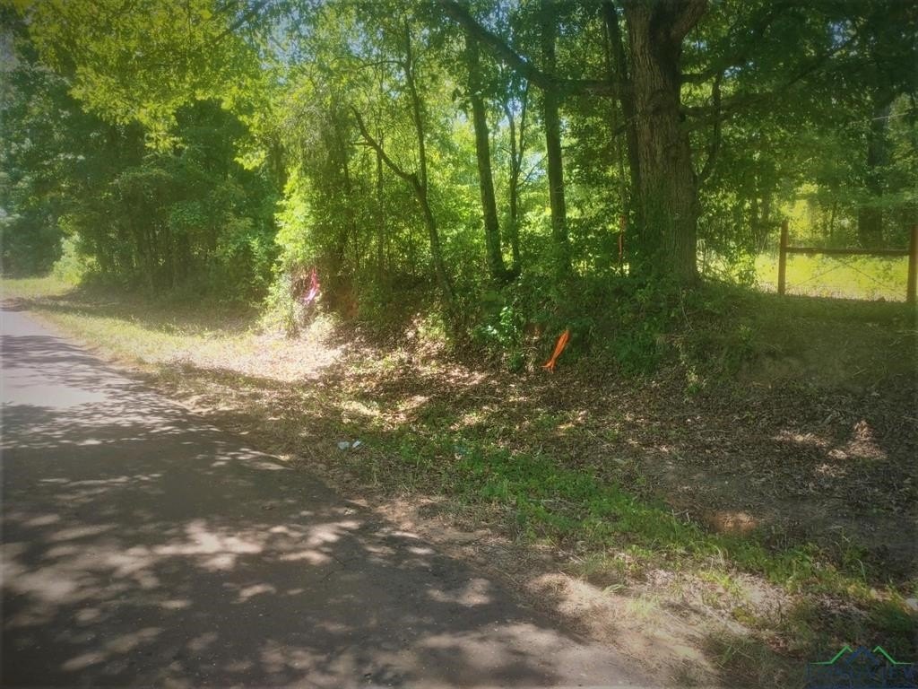 Picture 9