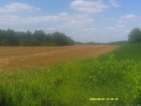 LAND - Auburn, IN