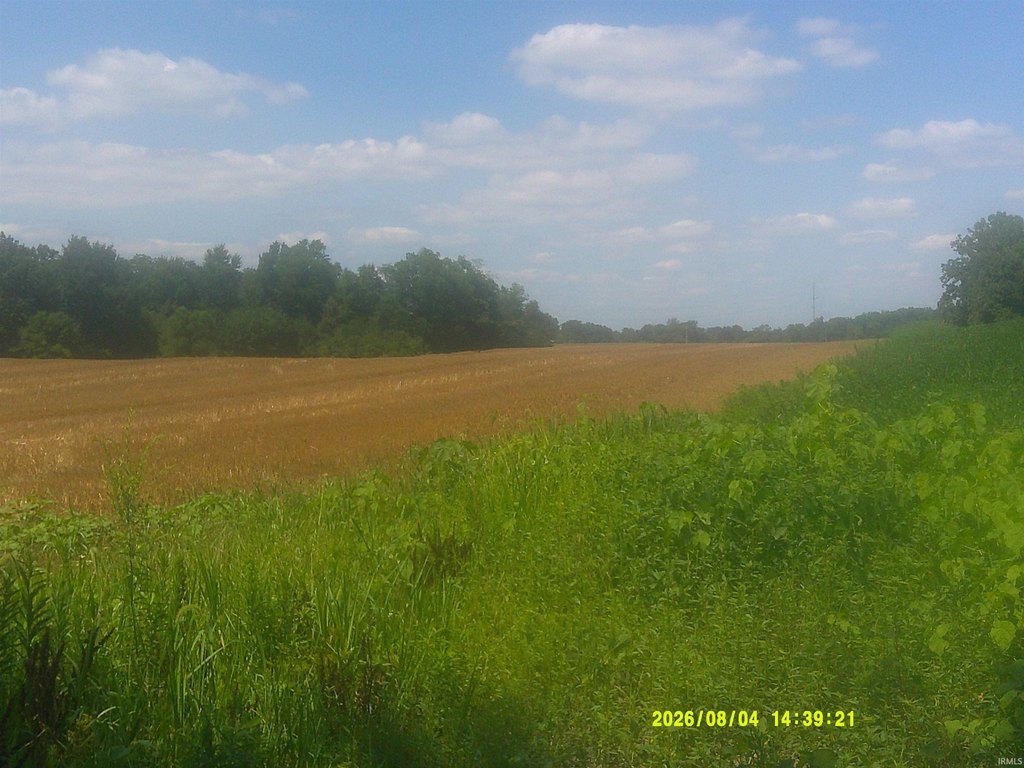 Picture 2